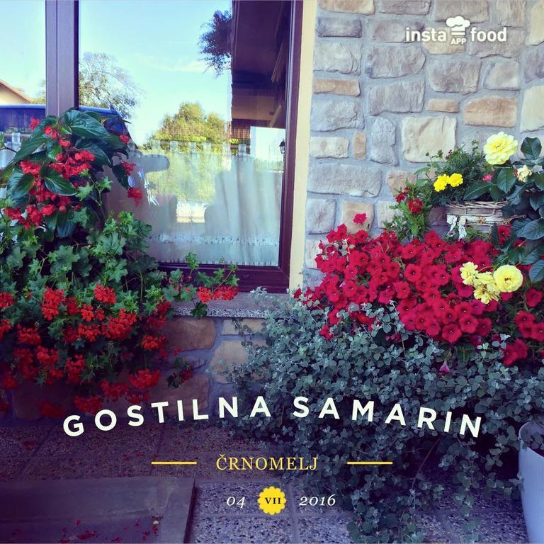 Hotel Samarin Črnomelj Kültér fotó